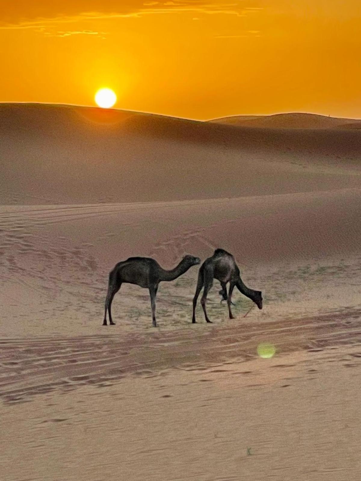 Chigaga Desert Camp M'Hamid Eksteriør bilde